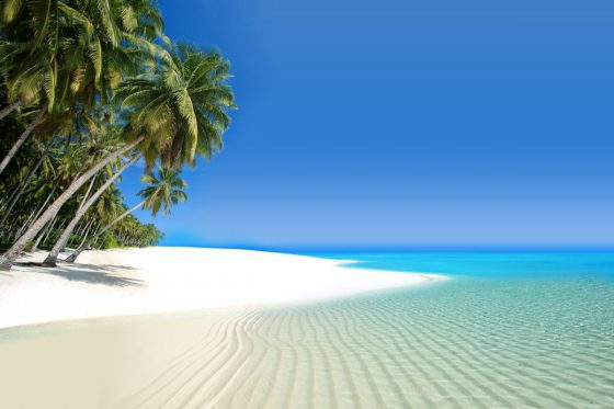 White sand tropical beach
