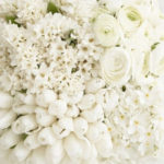 Narkotyczne kwiaty: relacja z białych warsztatów Perfumerii Quality