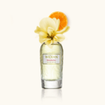 Widian Mandarine: cytrusowe przebudzenie